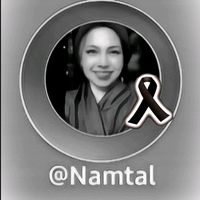 namtal8250