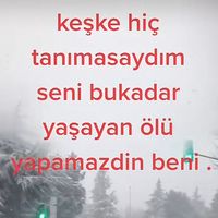 gizlisevdam8117