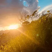 original sound - idaa024