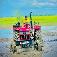 md.shimul4398