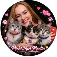 michimartin45