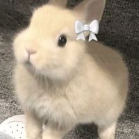 เสียงต้นฉบับ - นายลอตเตอรี่เงินล้าน  อ.กุดจับ