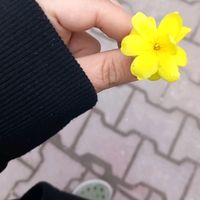 hayatzor_02_34