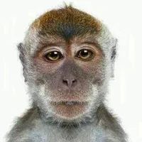 original sound - anvalchambodyvite3