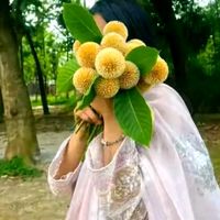 urs______xuchi8