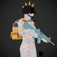 parwani_00_1