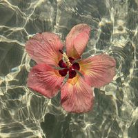 bratgeneratorlyricsx