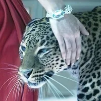 original sound - 4xclo