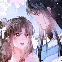 nhạc nền - Thỏ Con 🥭