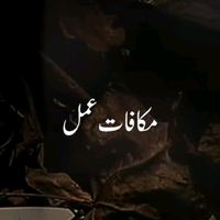 mkafatamal6