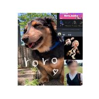 haru_lucky_happy_channel