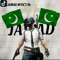 niazipubg2