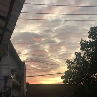 suara asli - AM🕊🦅