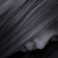 corhyntia0
