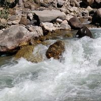 samrehman56
