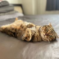 alleverything.9365