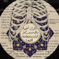 احب اللي بصوت