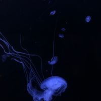 オリジナル楽曲 - 宇宙