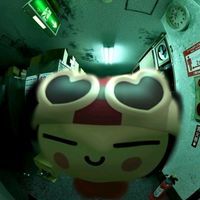 kiwii_609