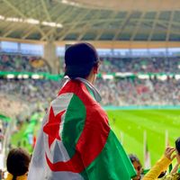 mohamed.amin781