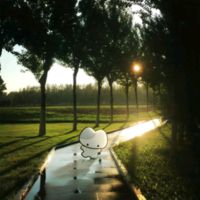 danna_25084