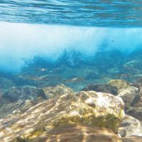 underwater_japan