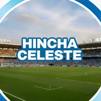 hincha_celeste4