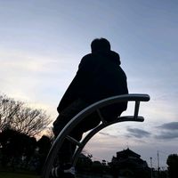 オリジナル楽曲 - たいがかたいせい/**△ỏỏ△**\