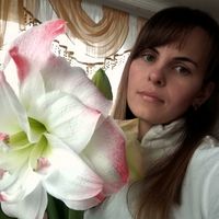 lina__kulikova