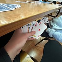 luka_mladjin
