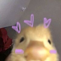 오리지날사운드로 사용금지