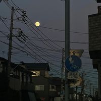 asai__hito