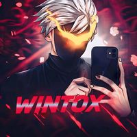 wintox_ff_