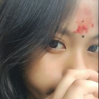 vutnii.1137