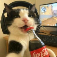 suara asli - 'RY MUSIC