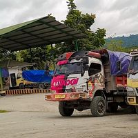 suara asli - k3tua gacor