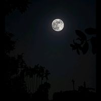 nhạc nền - #Manh8i8z3#>=(☠️👻