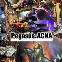 pegasus.acna