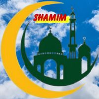 shamin4539