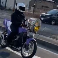 nn_dio