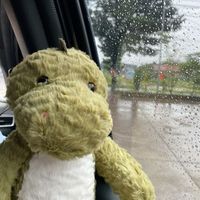 danni_dino4
