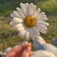 เสียงต้นฉบับ - supaporn