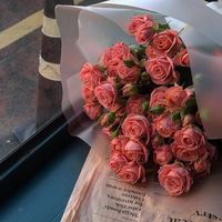 يامرحبا محمد العبدالله