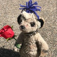 RIP X