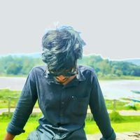 dinu0366