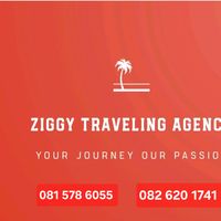 ziggy497