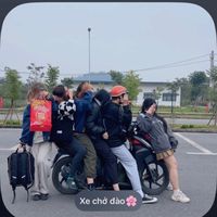 nhạc nền - vườn bách thú