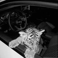 оригинальный звук