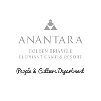 เสียงต้นฉบับ - P&C  Anantara Golden Triangle