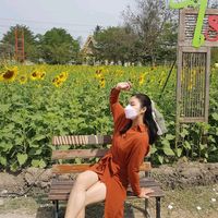 iradareview